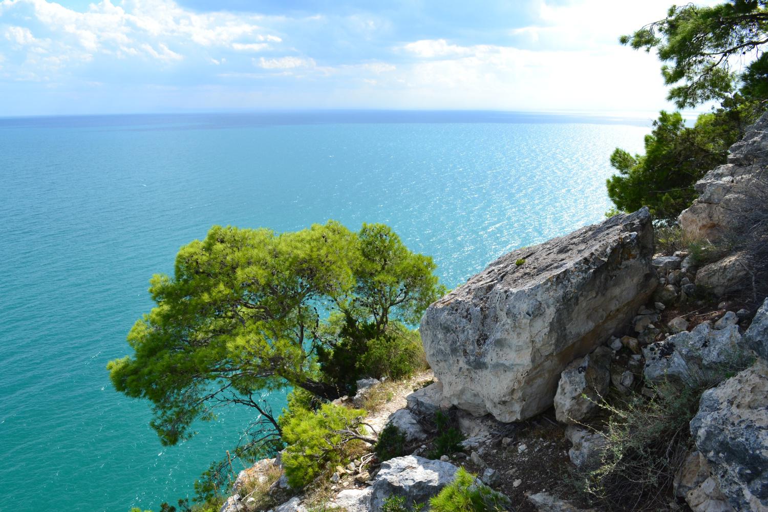 Panorama del mare cristallino e delle scogliere di Monte Saraceno dalla Piana di Mattinata